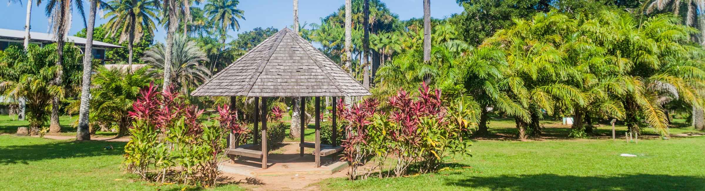 Le jardin botanique de Cayenne, en Guyane Française